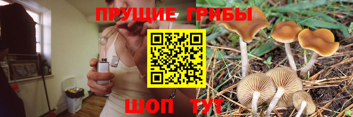 Галлюциногенные грибы прущие грибы Старый Оскол